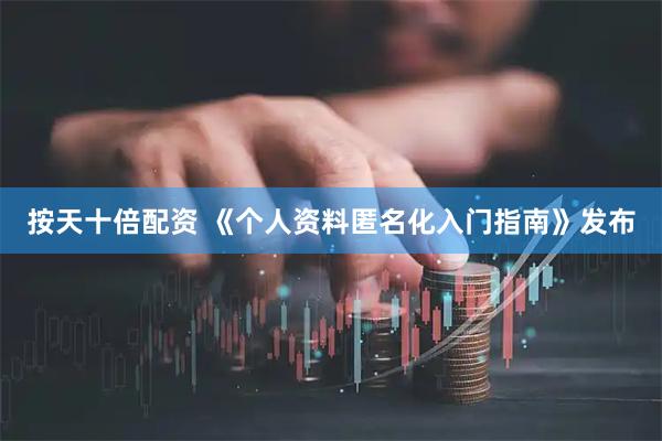 按天十倍配资 《个人资料匿名化入门指南》发布